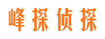 定西市私人侦探